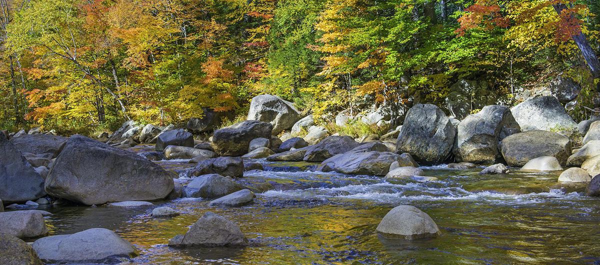 A rocky river under autumn trees
